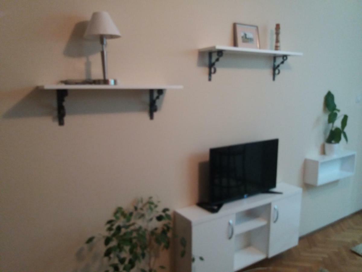 Studio Nina Novi Sad Bagian luar foto