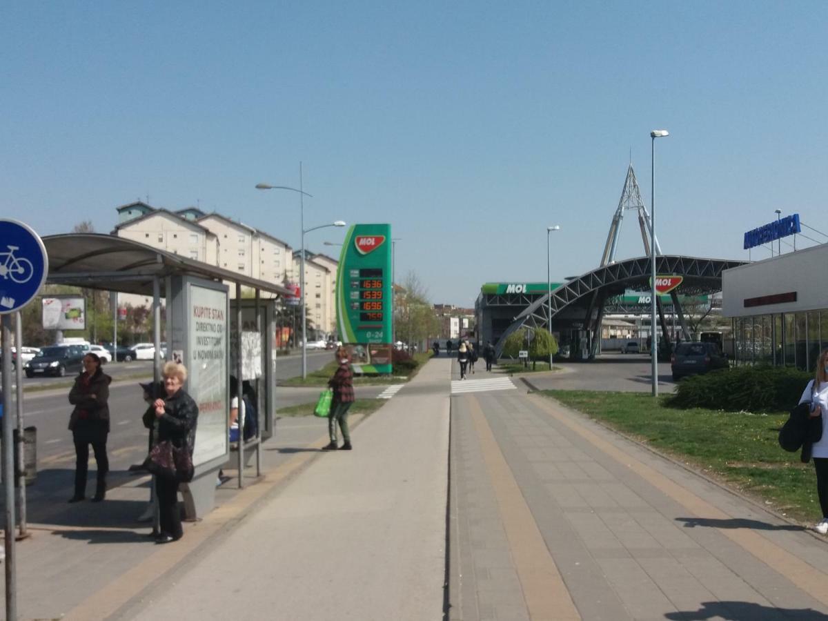 Studio Nina Novi Sad Bagian luar foto